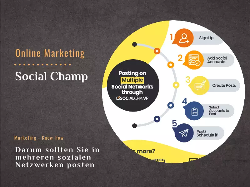 Social Champ – Darum sollten Sie in mehreren sozialen Netzwerken posten