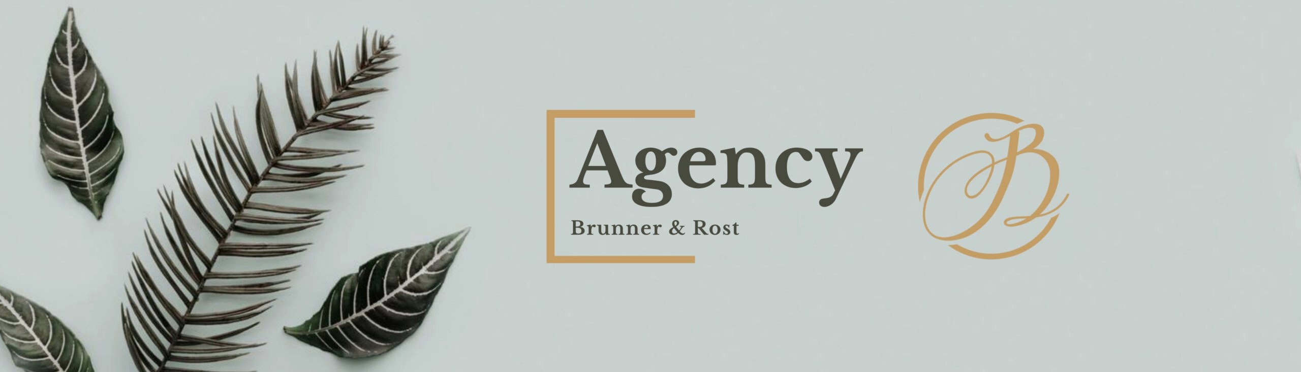 Agency for digital services Agency for digital services